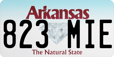 AR license plate 823MIE