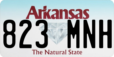 AR license plate 823MNH