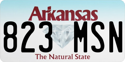 AR license plate 823MSN