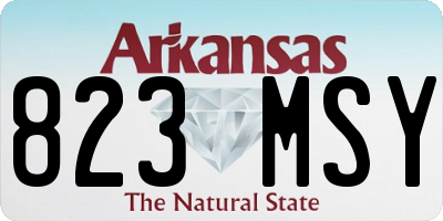 AR license plate 823MSY