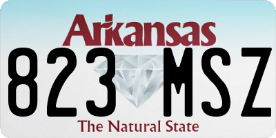 AR license plate 823MSZ