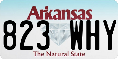 AR license plate 823WHY