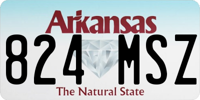 AR license plate 824MSZ