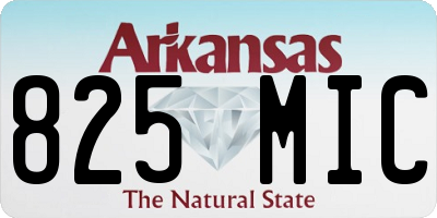 AR license plate 825MIC