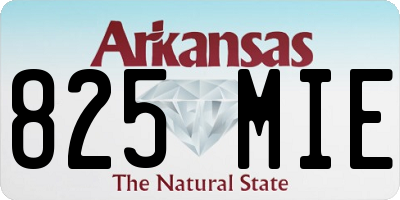 AR license plate 825MIE