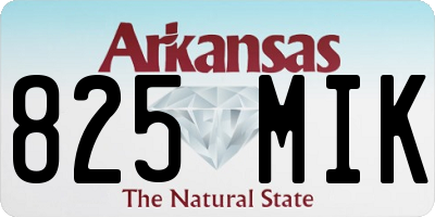 AR license plate 825MIK