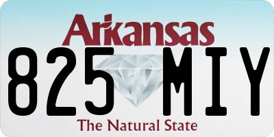 AR license plate 825MIY