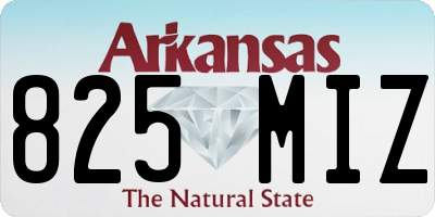 AR license plate 825MIZ