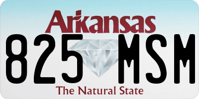 AR license plate 825MSM