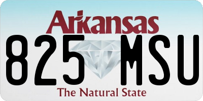 AR license plate 825MSU