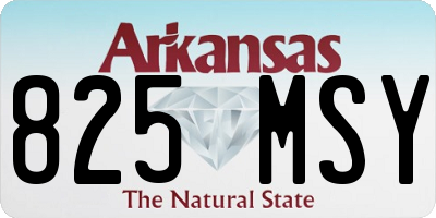 AR license plate 825MSY