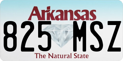 AR license plate 825MSZ