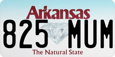 AR license plate 825MUM