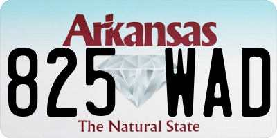 AR license plate 825WAD
