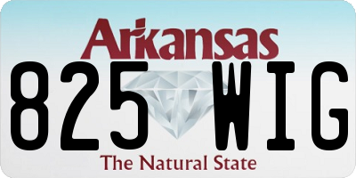 AR license plate 825WIG