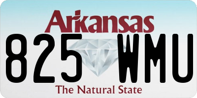 AR license plate 825WMU