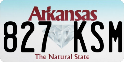 AR license plate 827KSM