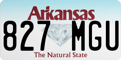 AR license plate 827MGU