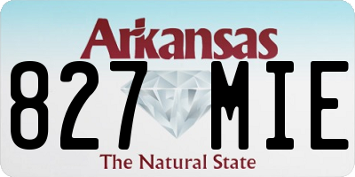 AR license plate 827MIE