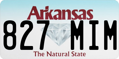 AR license plate 827MIM