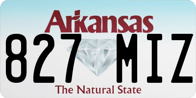 AR license plate 827MIZ