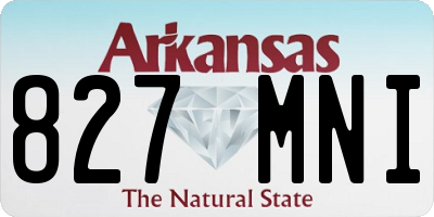 AR license plate 827MNI