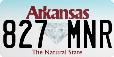 AR license plate 827MNR
