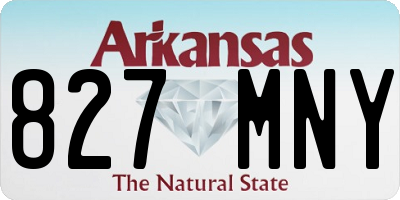 AR license plate 827MNY
