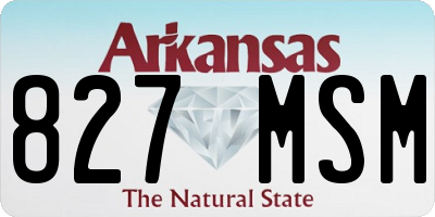 AR license plate 827MSM