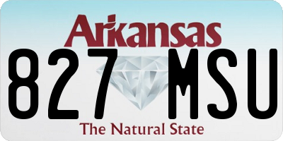 AR license plate 827MSU