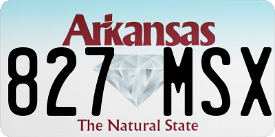 AR license plate 827MSX