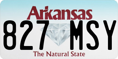 AR license plate 827MSY