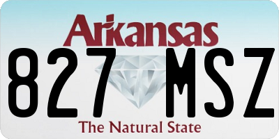 AR license plate 827MSZ
