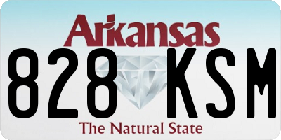 AR license plate 828KSM