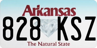 AR license plate 828KSZ