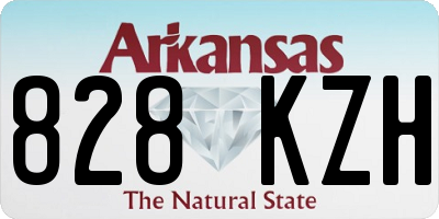 AR license plate 828KZH