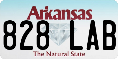 AR license plate 828LAB