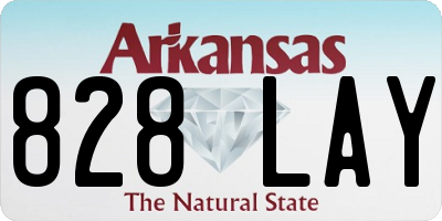 AR license plate 828LAY