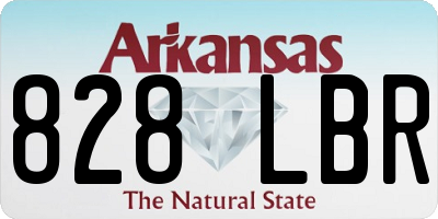 AR license plate 828LBR