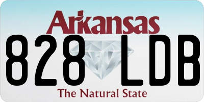 AR license plate 828LDB