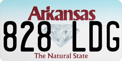 AR license plate 828LDG