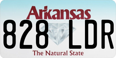AR license plate 828LDR