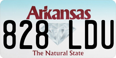 AR license plate 828LDU