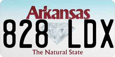 AR license plate 828LDX