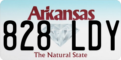 AR license plate 828LDY