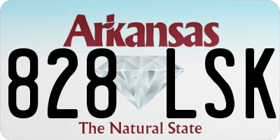 AR license plate 828LSK