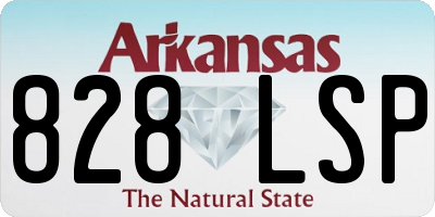 AR license plate 828LSP