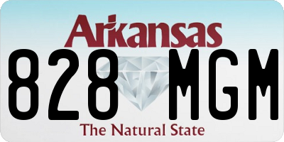 AR license plate 828MGM