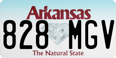 AR license plate 828MGV
