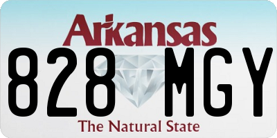 AR license plate 828MGY